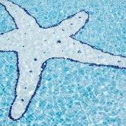 Havuz Mozaik Çalışması,Havuz Mozaik Çalışması Fiyatları,Havuz Mozaik Çalışması Yapanlar,Havuz Mozaik Çalışması Yapan Firmalar